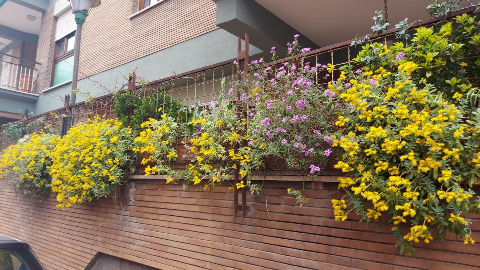 Appartamento Isabella Rome Exterior photo