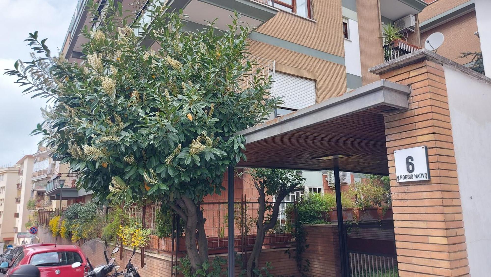 Appartamento Isabella Rome Exterior photo
